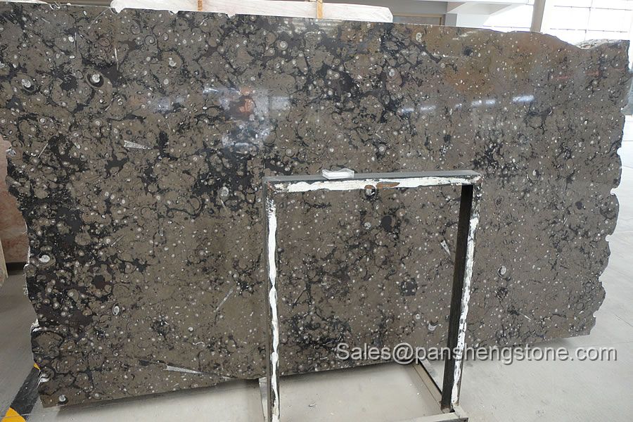 Brown fossil marble slab   Marble Slabs