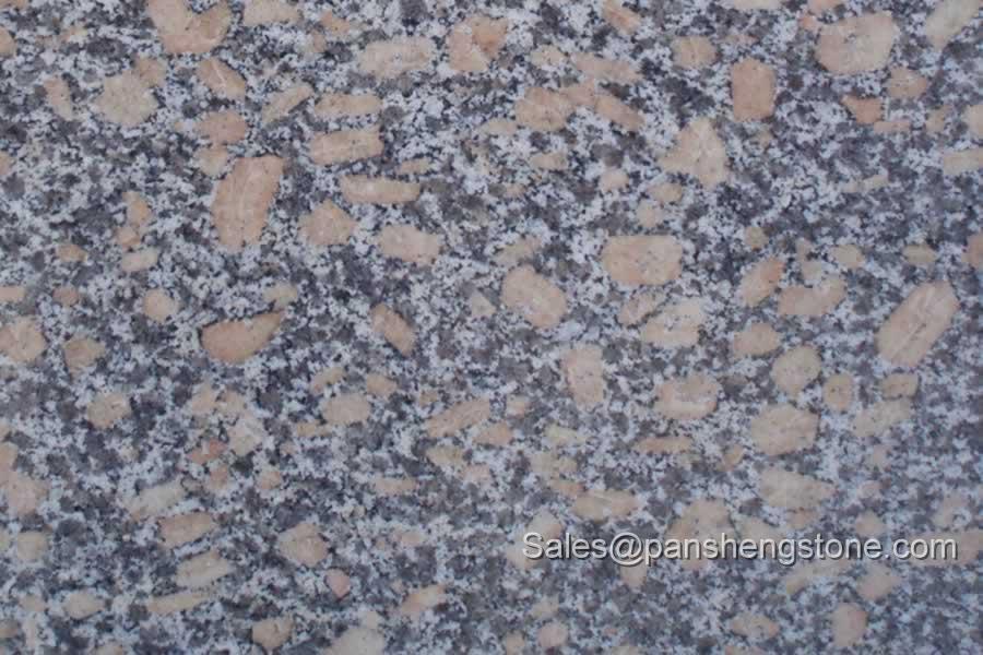 Golden pearl granite slab   Granite Slabs